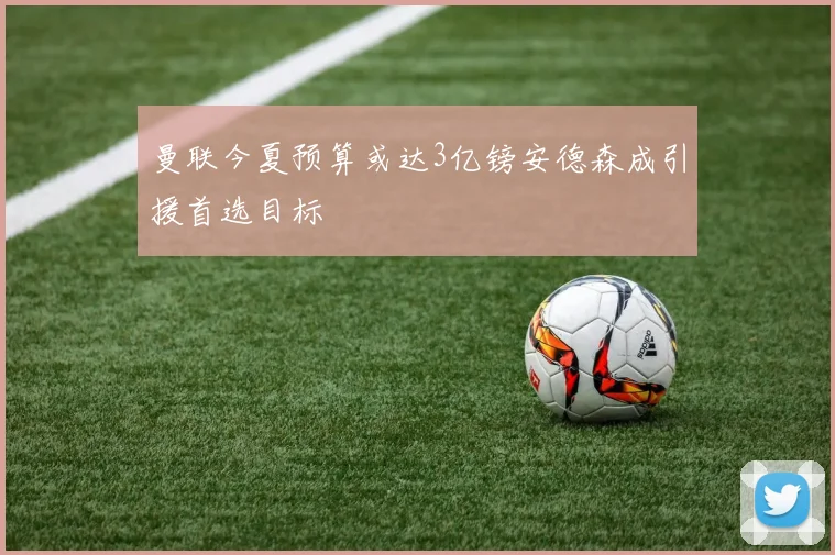 曼联今夏预算或达3亿镑安德森成引援首选目标
