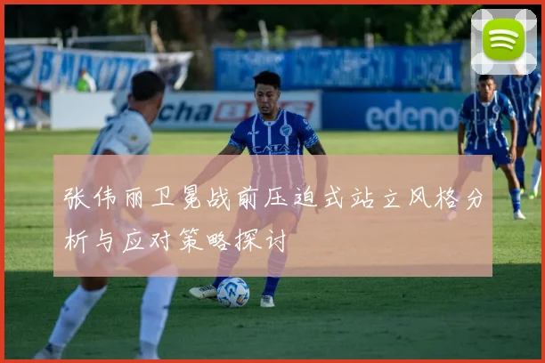 张伟丽卫冕战前压迫式站立风格分析与应对策略探讨